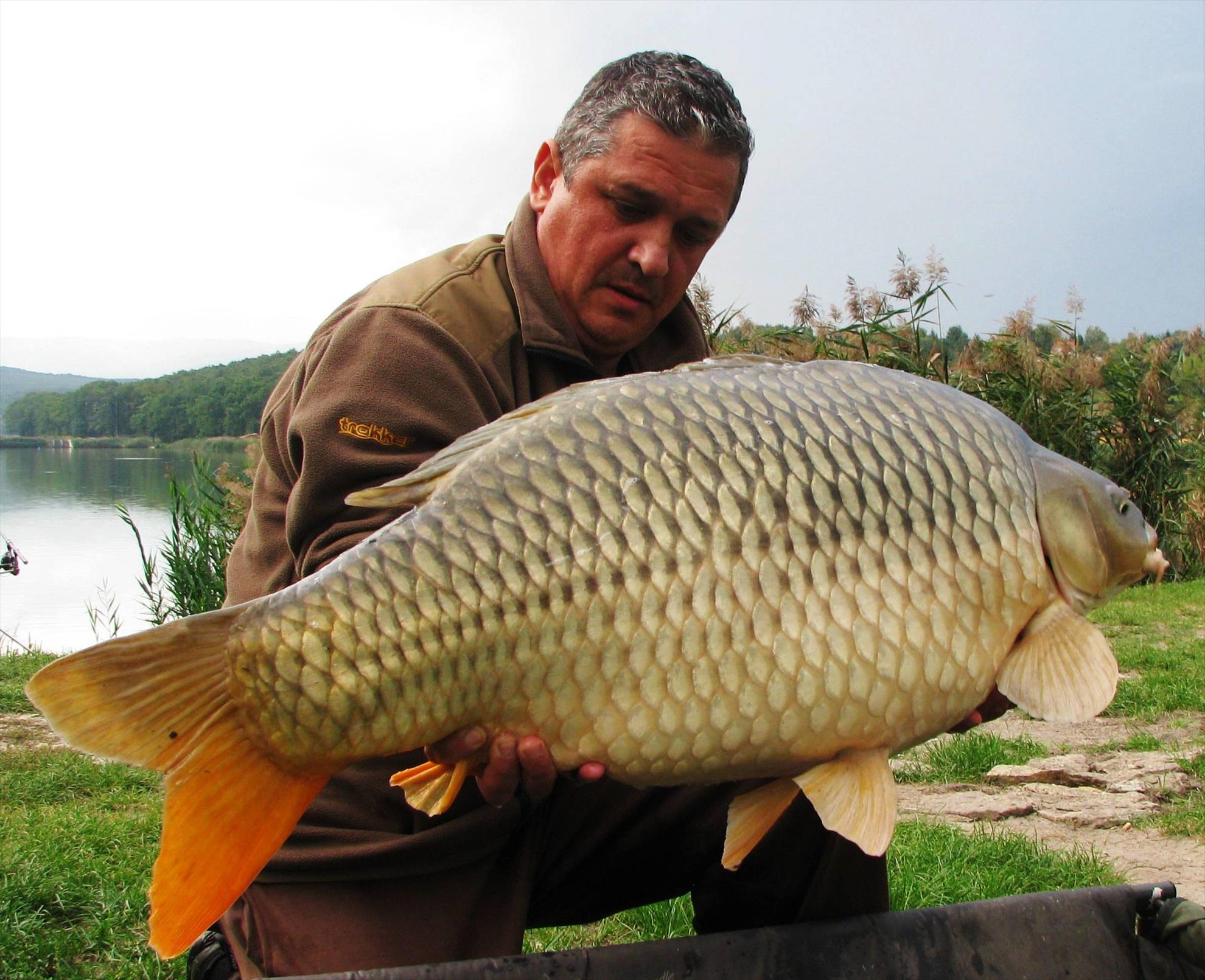 Harsany septembrie 2014 - img1783.JPG